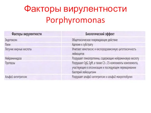 Факторы вирулентности Porphyromonas