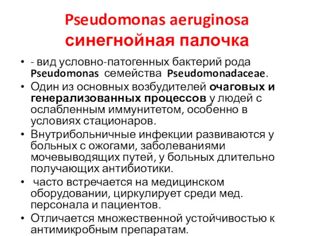 Pseudomonas aeruginosa синегнойная палочка - вид условно-патогенных бактерий рода Pseudomonas