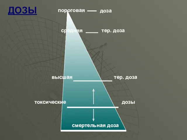 ДОЗЫ средняя тер. доза высшая пороговая доза тер. доза токсические дозы смертельная доза