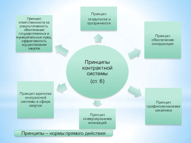 Принципы – нормы прямого действия