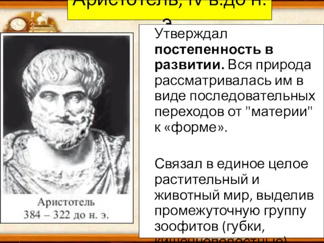 Аристотель, IV в.до н.э. Утверждал постепенность в развитии. Вся природа