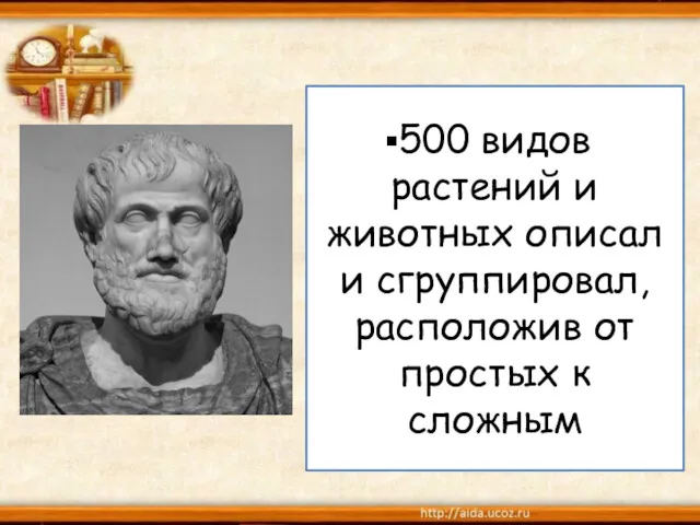 500 видов растений и животных описал и сгруппировал, расположив от простых к сложным