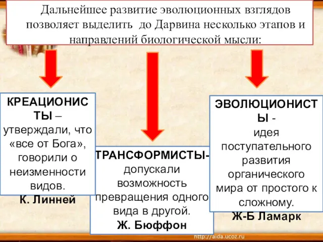 Дальнейшее развитие эволюционных взглядов позволяет выделить до Дарвина несколько этапов