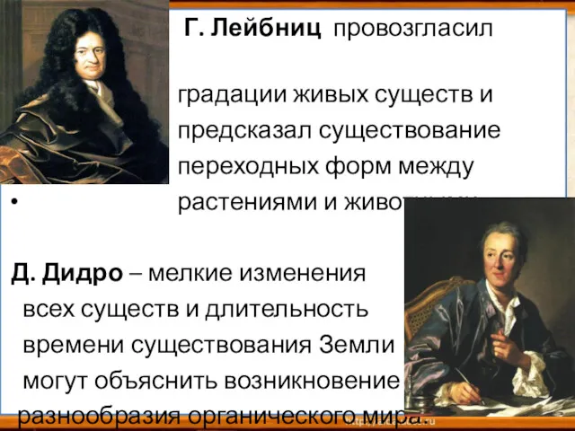 Еще Г. Лейбниц провозгласил принцип градации живых существ и предсказал