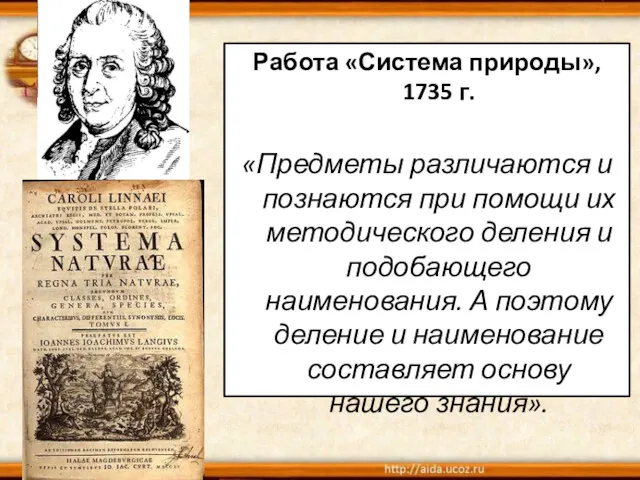 Работа «Система природы», 1735 г. «Предметы различаются и познаются при