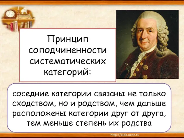 Принцип соподчиненности систематических категорий: соседние категории связаны не только сходством,