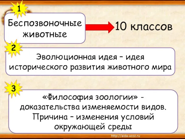 10 классов Беспозвоночные животные 1 Эволюционная идея – идея исторического