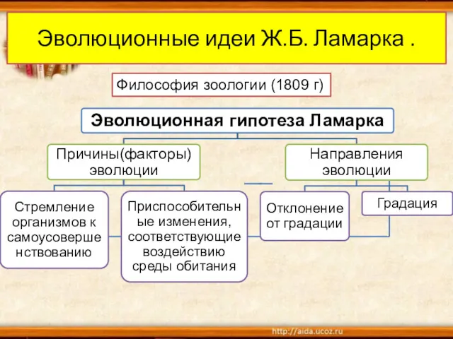 Эволюционные идеи Ж.Б. Ламарка . Философия зоологии (1809 г)