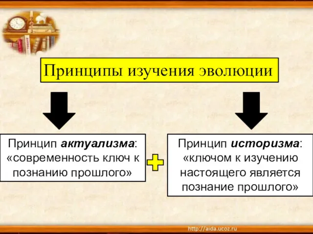 Принципы изучения эволюции Принцип актуализма: «современность ключ к познанию прошлого»