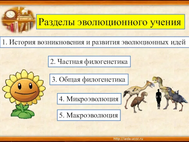 Разделы эволюционного учения 1. История возникновения и развития эволюционных идей