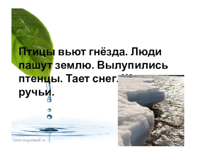 Птицы вьют гнёзда. Люди пашут землю. Вылупились птенцы. Тает снег. Журчат ручьи.