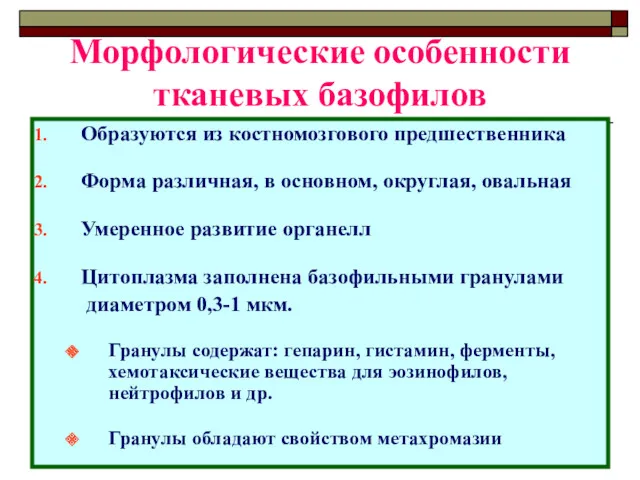 Морфологические особенности тканевых базофилов Образуются из костномозгового предшественника Форма различная, в основном, округлая,