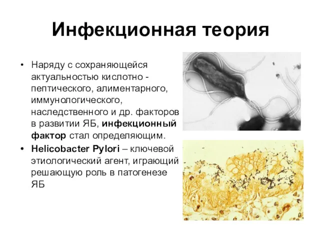 Инфекционная теория Наряду с сохраняющейся актуальностью кислотно - пептического, алиментарного,