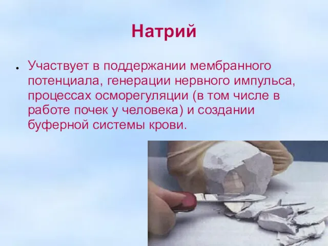 Натрий Участвует в поддержании мембранного потенциала, генерации нервного импульса, процессах