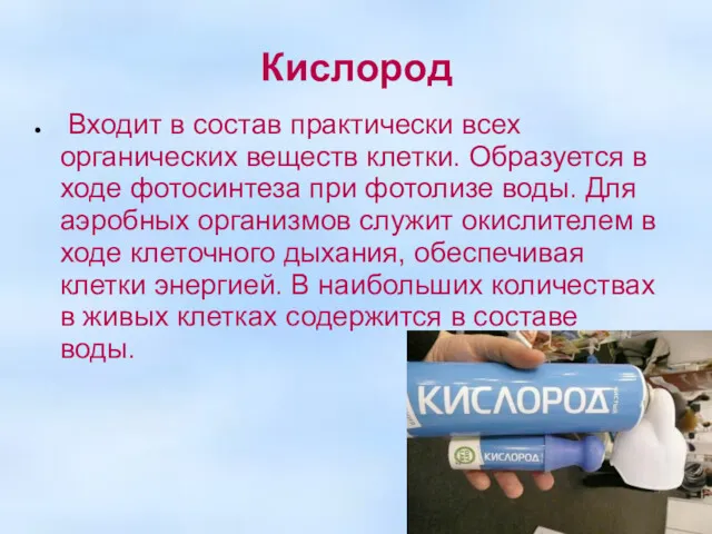 Кислород Входит в состав практически всех органических веществ клетки. Образуется