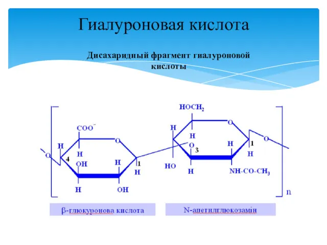 Гиалуроновая кислота Дисахаридный фрагмент гиалуроновой кислоты