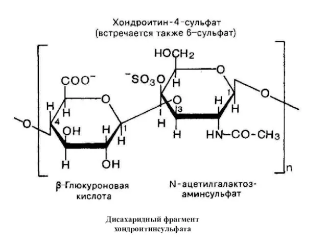 Дисахаридный фрагмент хондроитинсульфата