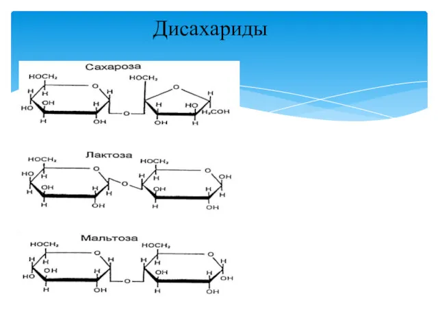 Дисахариды