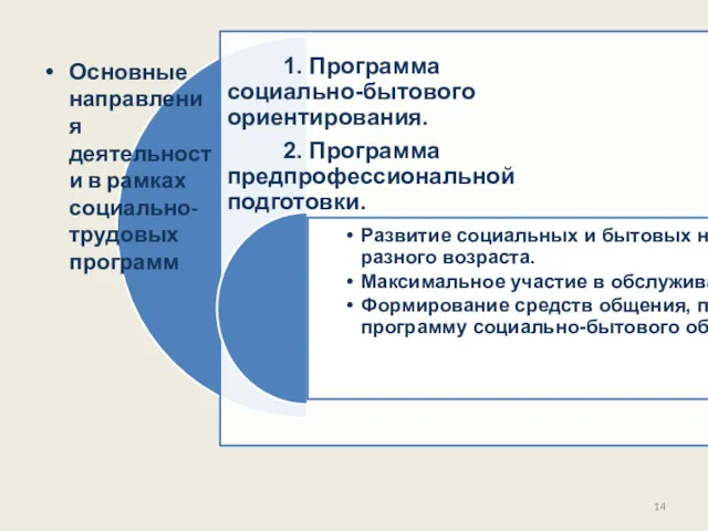 Основные направления деятельности в рамках социально-трудовых программ