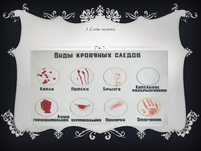 3. Следы человека