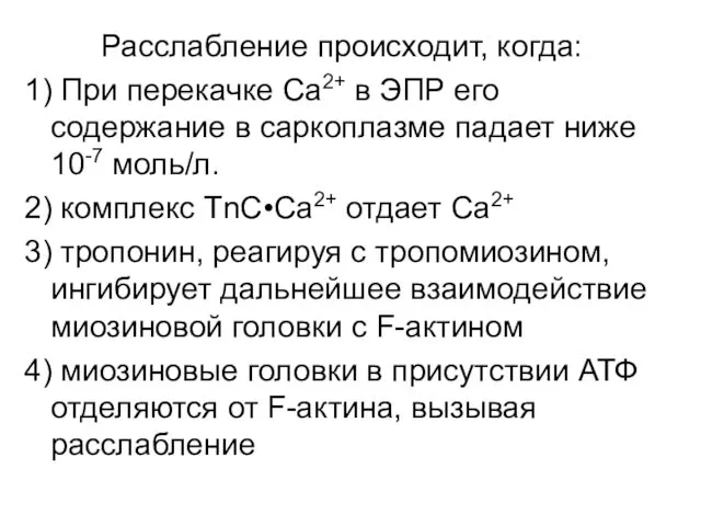 Расслабление происходит, когда: 1) При перекачке Са2+ в ЭПР его