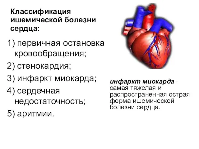 1) первичная остановка кровообращения; 2) стенокардия; 3) инфаркт миокарда; 4)