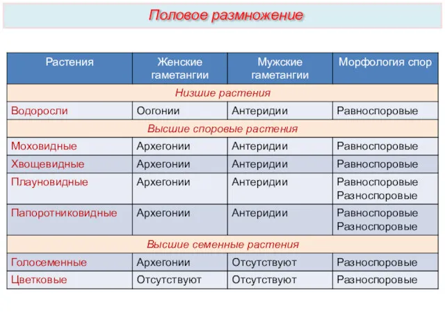 Половое размножение