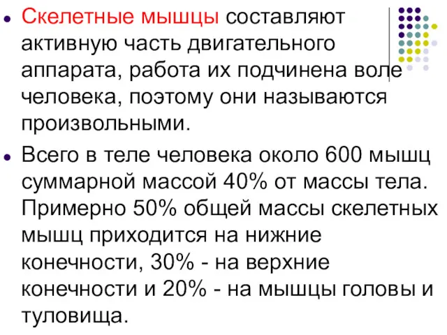 Скелетные мышцы составляют активную часть двигательного аппарата, работа их подчинена