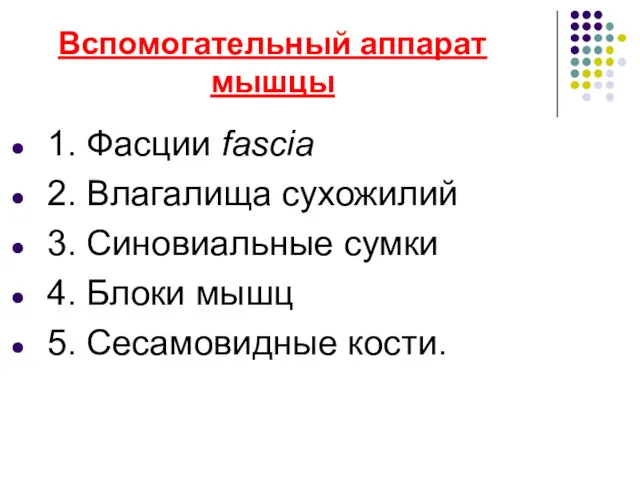 Вспомогательный аппарат мышцы 1. Фасции fascia 2. Влагалища сухожилий 3.