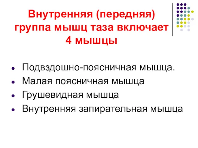 Внутренняя (передняя) группа мышц таза включает 4 мышцы Подвздошно-поясничная мышца.