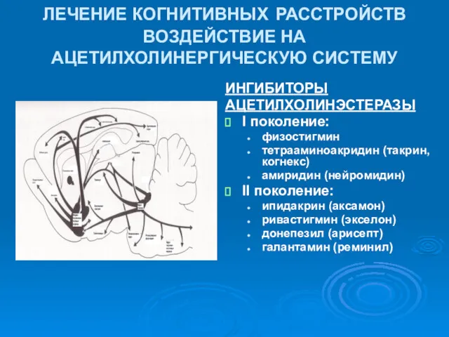ЛЕЧЕНИЕ КОГНИТИВНЫХ РАССТРОЙСТВ ВОЗДЕЙСТВИЕ НА АЦЕТИЛХОЛИНЕРГИЧЕСКУЮ СИСТЕМУ ИНГИБИТОРЫ АЦЕТИЛХОЛИНЭСТЕРАЗЫ I