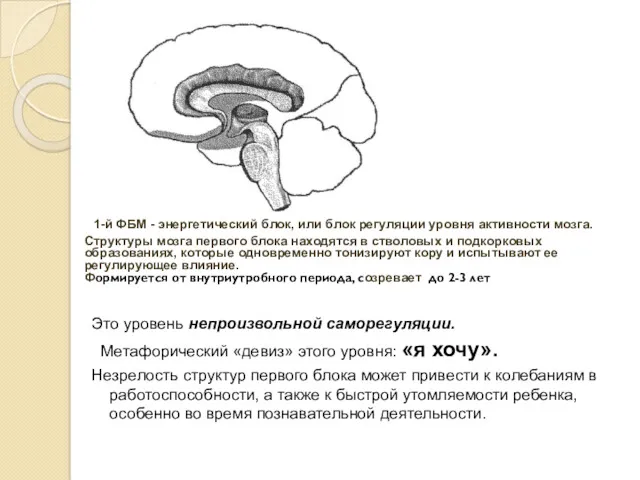 Это уровень непроизвольной саморегуляции. Метафорический «девиз» этого уровня: «я хочу».