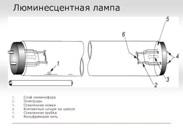 Люминесцентная лампа Слой люминофора Электроды Стеклянная ножка Контактные штыри на цоколе Стеклянная трубка Вольфрамовая нить