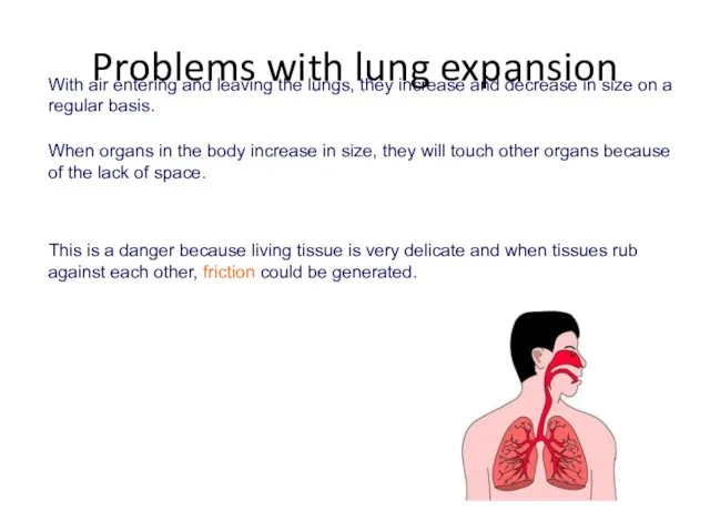 With air entering and leaving the lungs, they increase and
