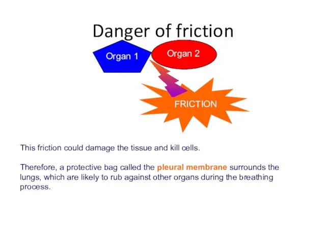 This friction could damage the tissue and kill cells. Therefore,