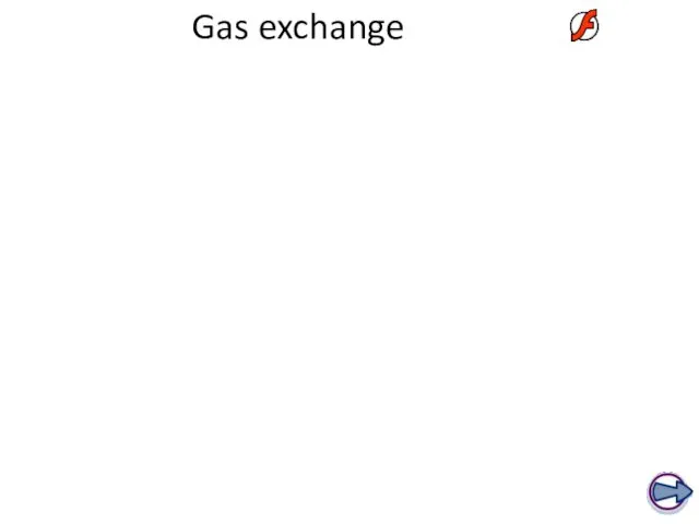 Gas exchange