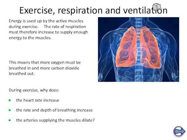 Exercise, respiration and ventilation Energy is used up by the