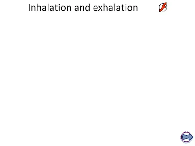 Inhalation and exhalation