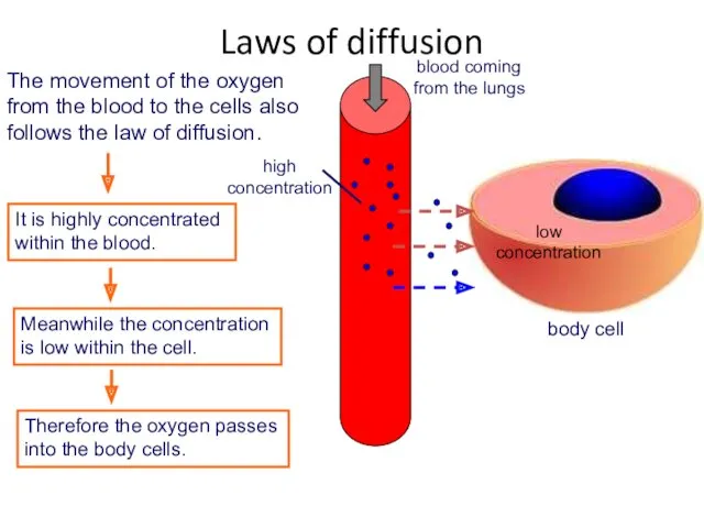 Laws of diffusion
