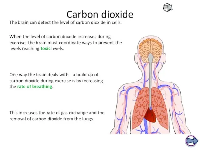 Carbon dioxide One way the brain deals with a build