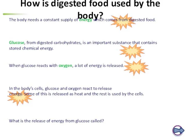 How is digested food used by the body? Glucose, from