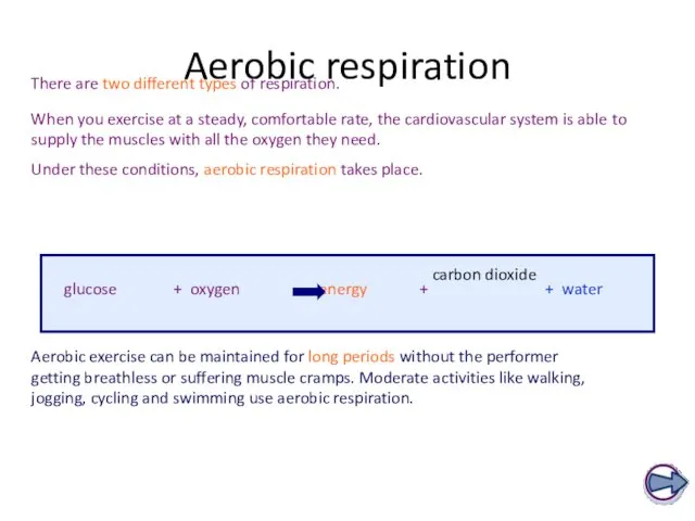 Aerobic respiration Aerobic exercise can be maintained for long periods