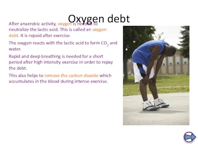 Oxygen debt After anaerobic activity, oxygen is needed to neutralize
