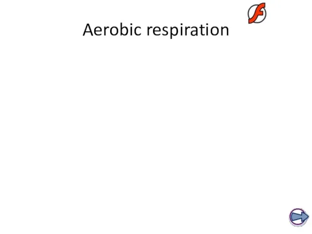 Aerobic respiration