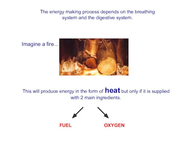 The energy making process depends on the breathing system and
