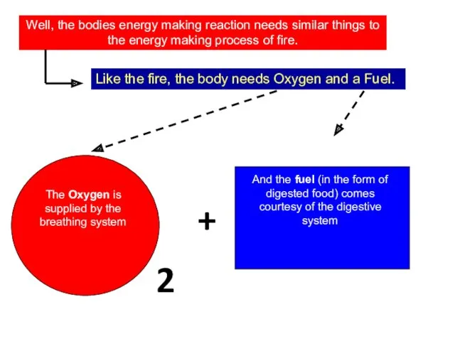 Well, the bodies energy making reaction needs similar things to