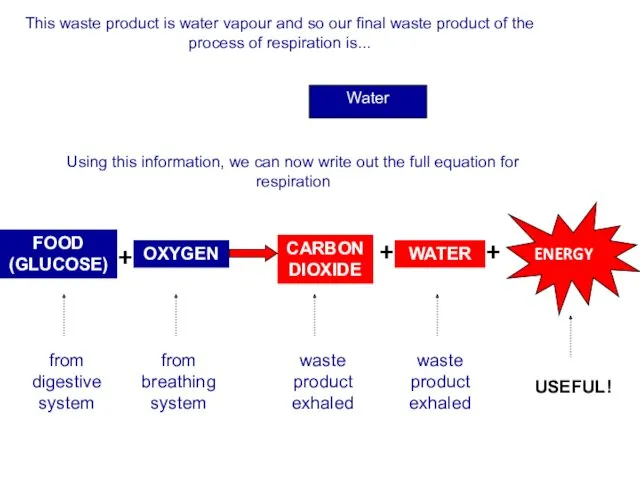 This waste product is water vapour and so our final