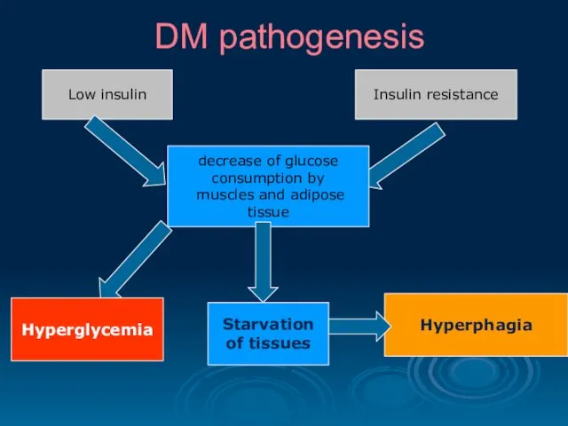 DM pathogenesis Hyperglycemia Low insulin Insulin resistance decrease of glucose