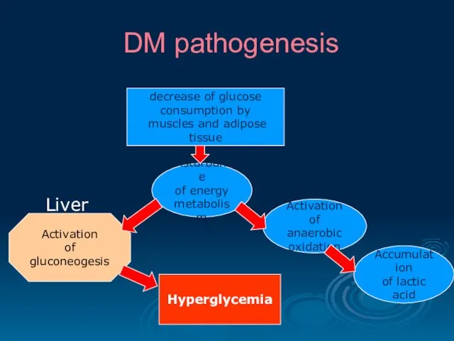DM pathogenesis decrease of glucose consumption by muscles and adipose