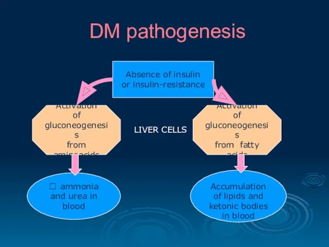 DM pathogenesis Absence of insulin or insulin-resistance Activation of gluconeogenesis